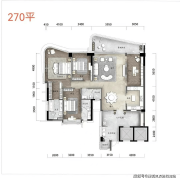 获取专业的政策征询及申请代